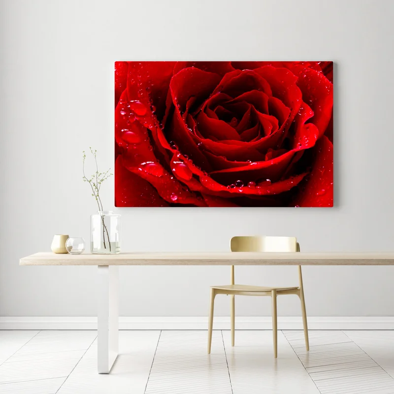 Leinwandbild leuchtend rote rose nahaufnahme Leinwandbild leuchtend rote rose nahaufnahme