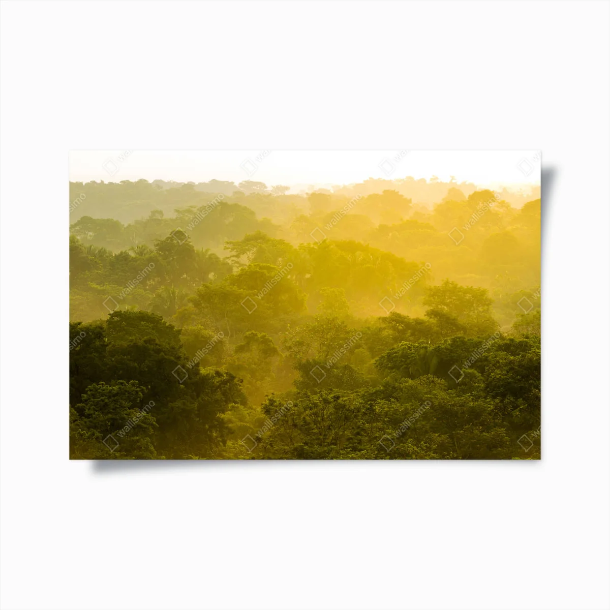 Poster Dschungel Sonnenuntergang Baumkronen • Poster bei Wallnifity® Poster Dschungel Sonnenuntergang Baumkronen • Poster bei Wallnifity®