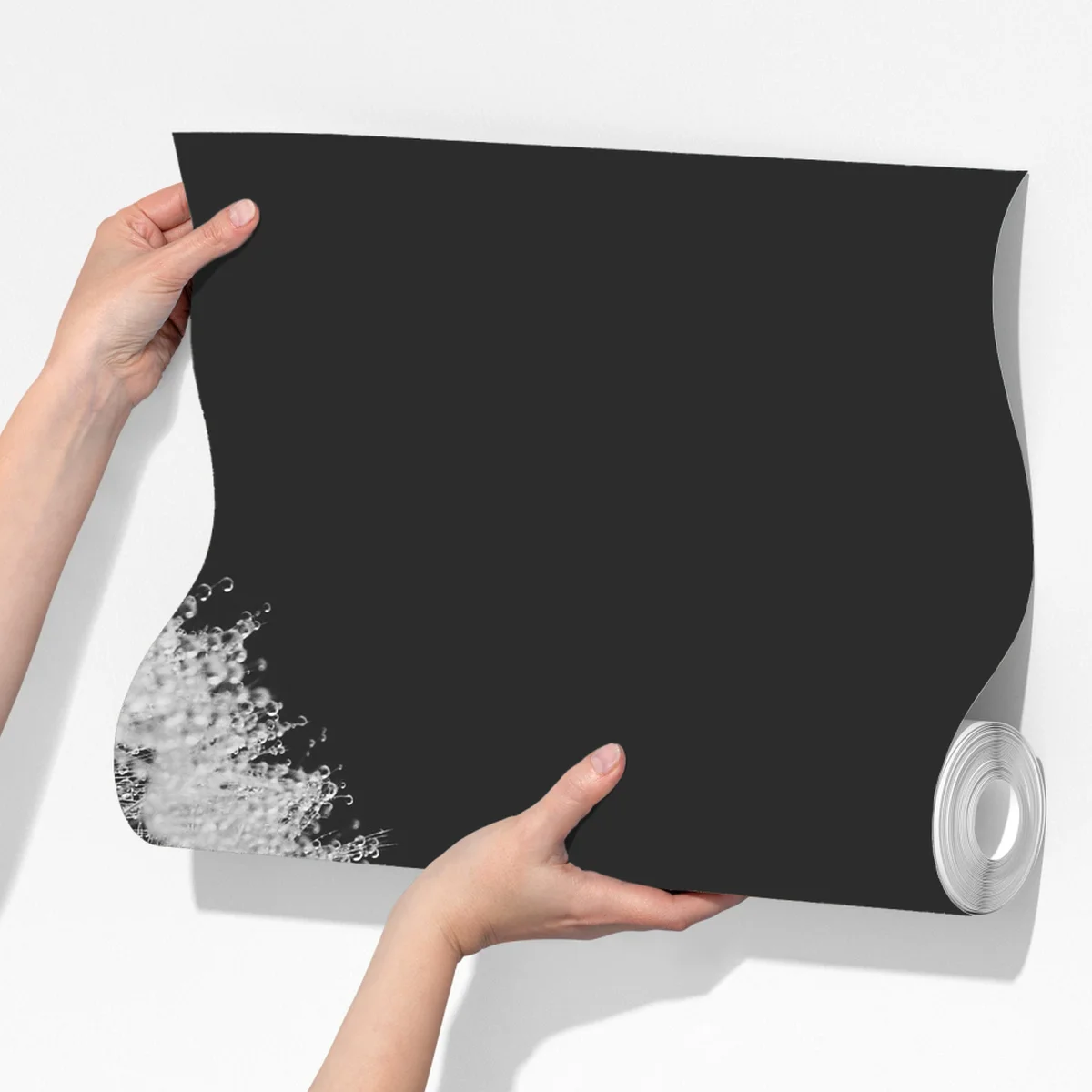 Fototapeta delikatny dmuchawiec w monochromie Fototapeta delikatny dmuchawiec w monochromie