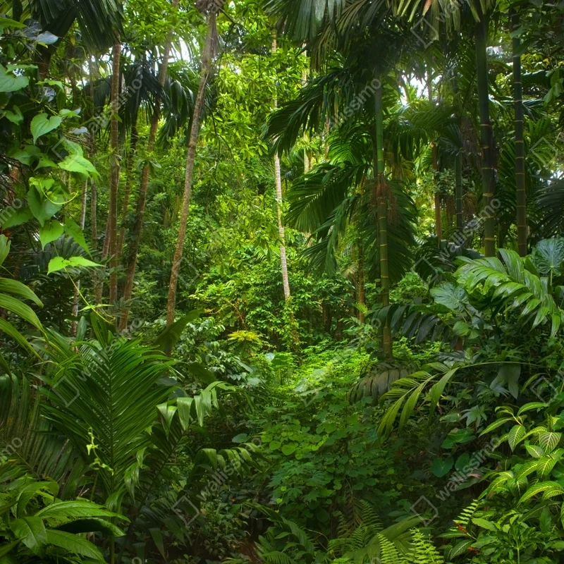 Naklejka na laptopa bujna tropikalna dżungla Naklejka na laptopa bujna tropikalna dżungla