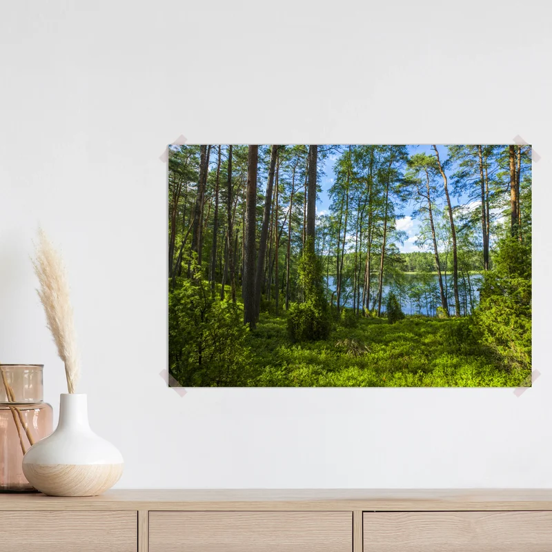 Poster ruhiger kiefernwald am see Poster ruhiger kiefernwald am see