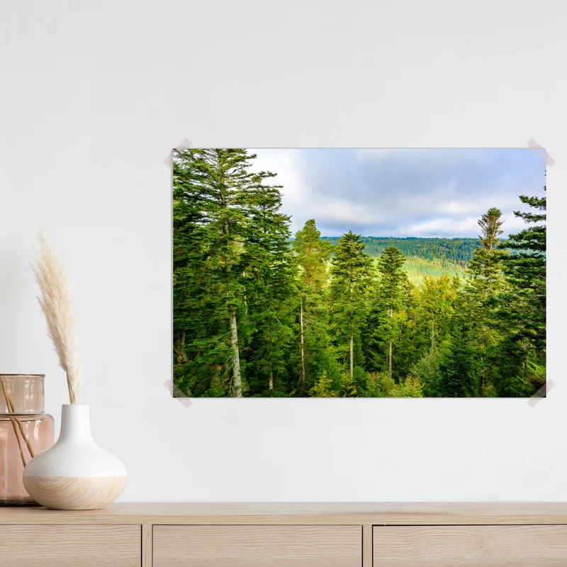 Poster Schwarzwald herbstliche waldlandschaft Poster Schwarzwald herbstliche waldlandschaft