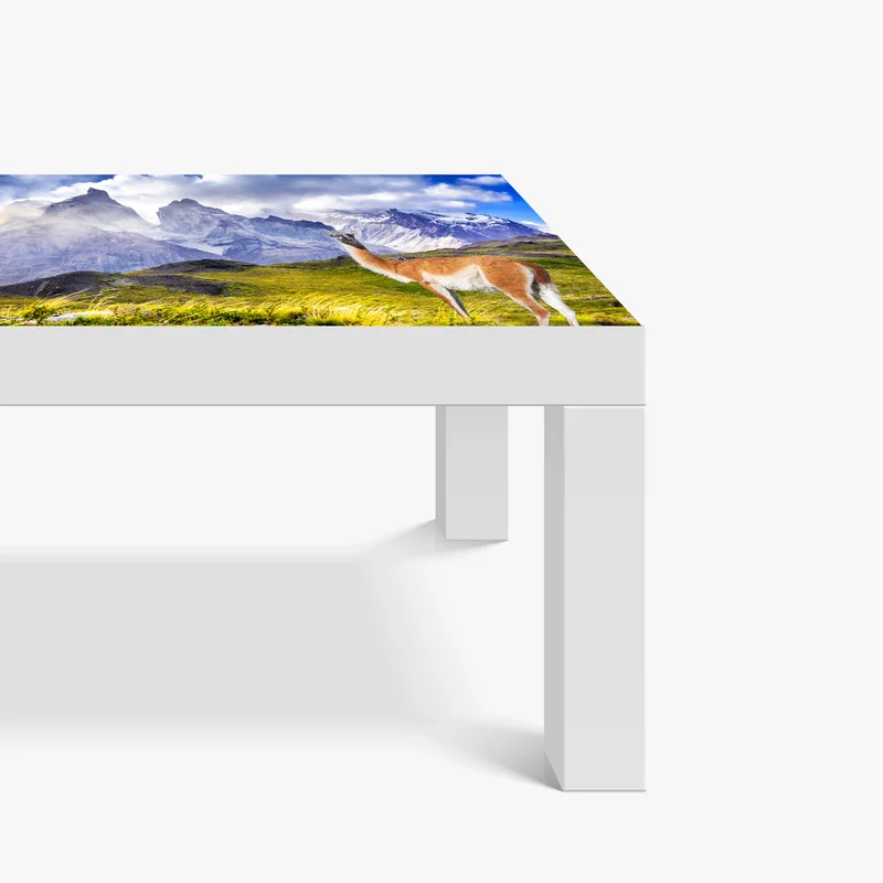 Tischaufkleber und Schreibtischaufkleber Torres del Paine Patagonia landschaft mit guanako