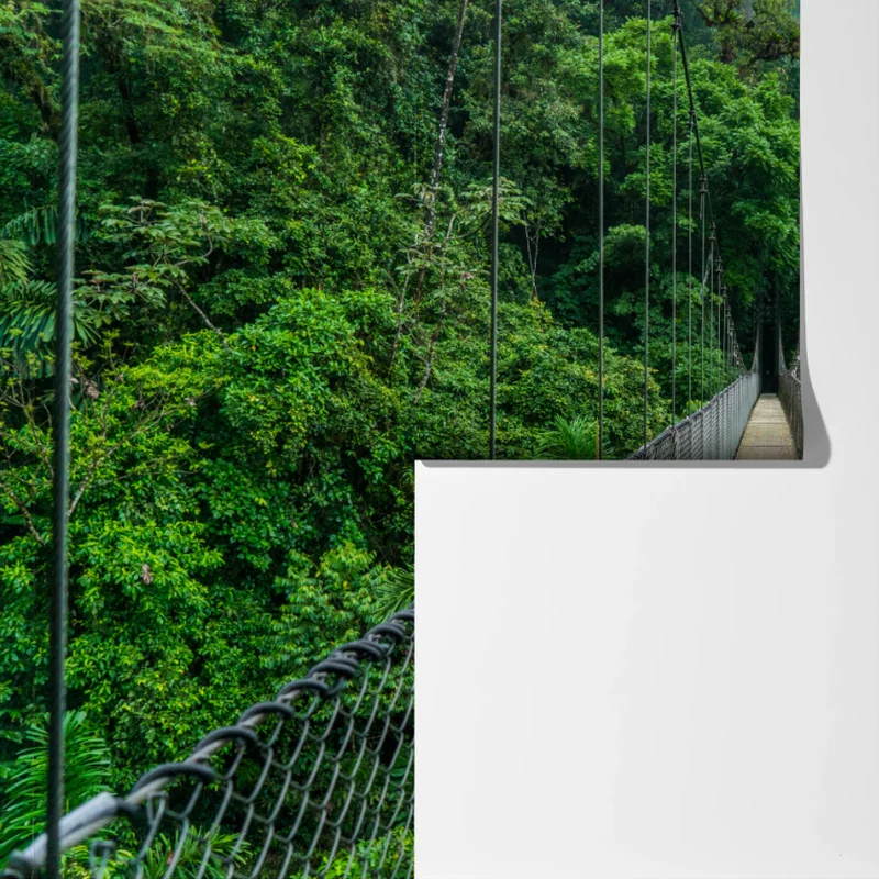 Fototapete hängende brücke im dichten dschungel Fototapete hängende brücke im dichten dschungel