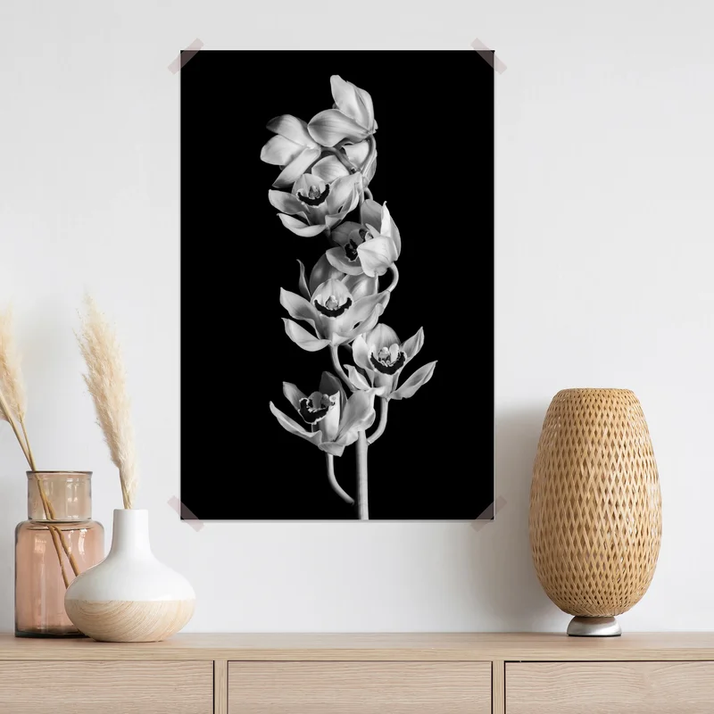 Poster eleganter monochromer orchideenstiel Poster eleganter monochromer orchideenstiel
