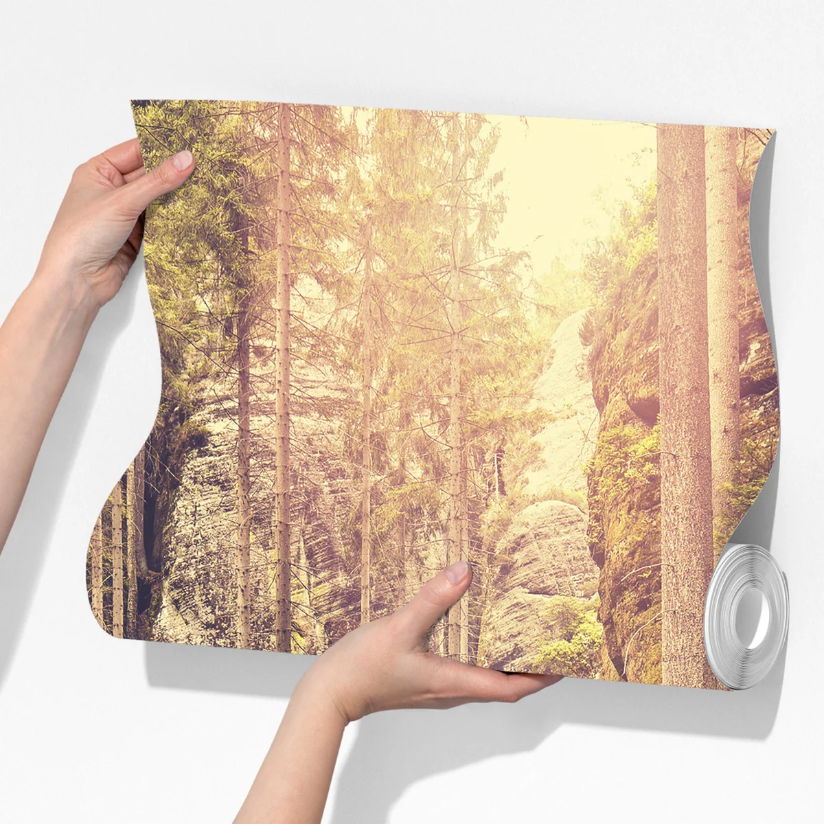 Fototapete sonniger holzsteg in Adrspach Teplice Fototapete sonniger holzsteg in Adrspach Teplice