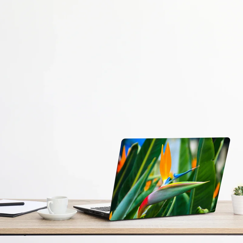 Laptop-Aufkleber leuchtende paradiesvogelblume