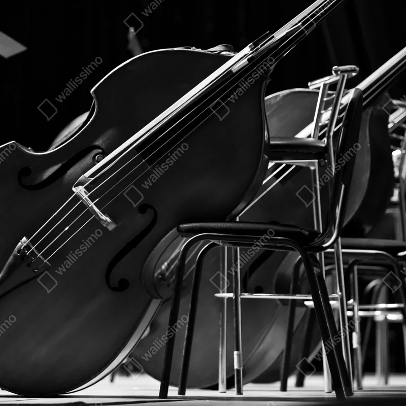 Repositionierbarer Aufkleber monochrome kontrabässe im orchester Repositionierbarer Aufkleber monochrome kontrabässe im orchester