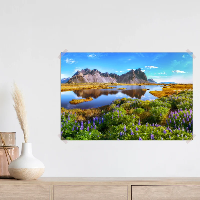 Poster lebendige lupinenwiesen bei Vestrahorn, Island Poster lebendige lupinenwiesen bei Vestrahorn, Island