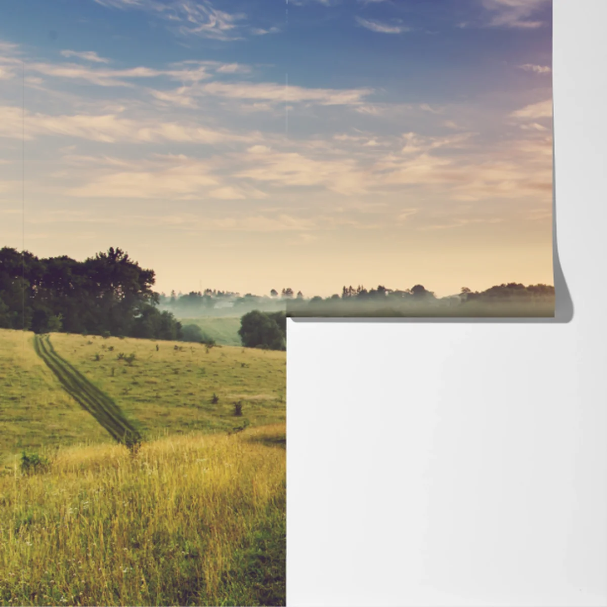 Fototapete nebeliger sonnenaufgang über einer ländlichen wiese Fototapete nebeliger sonnenaufgang über einer ländlichen wiese