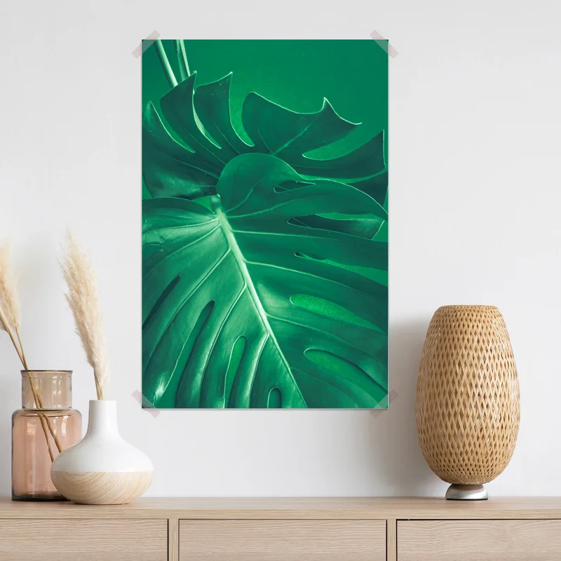 Poster prächtiges monstera-blatt nahaufnahme Poster prächtiges monstera-blatt nahaufnahme