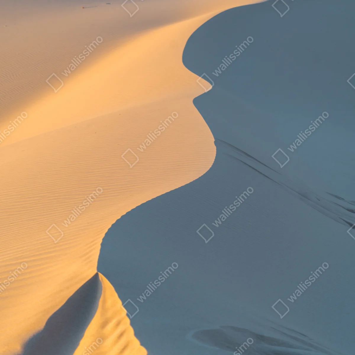 Naklejka na okno złote krzywizny wydm Naklejka na okno złote krzywizny wydm