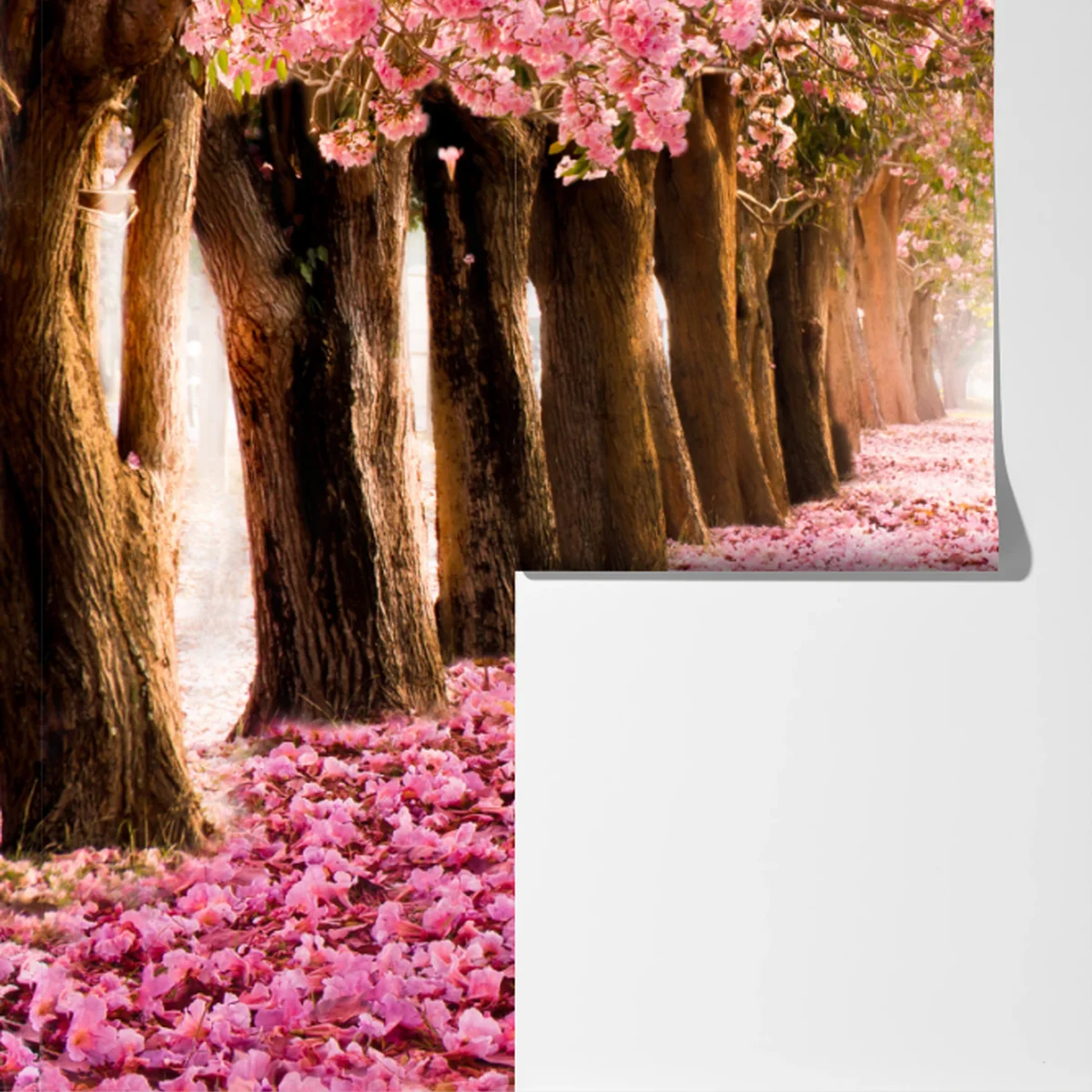 Fototapete rosa blütenallee unter kirschbäumen Fototapete rosa blütenallee unter kirschbäumen