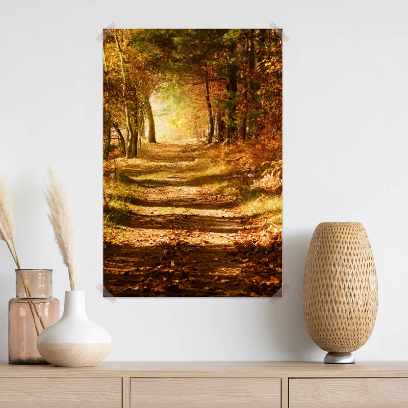 Poster herbstlicher waldweg mit goldenem licht Poster herbstlicher waldweg mit goldenem licht