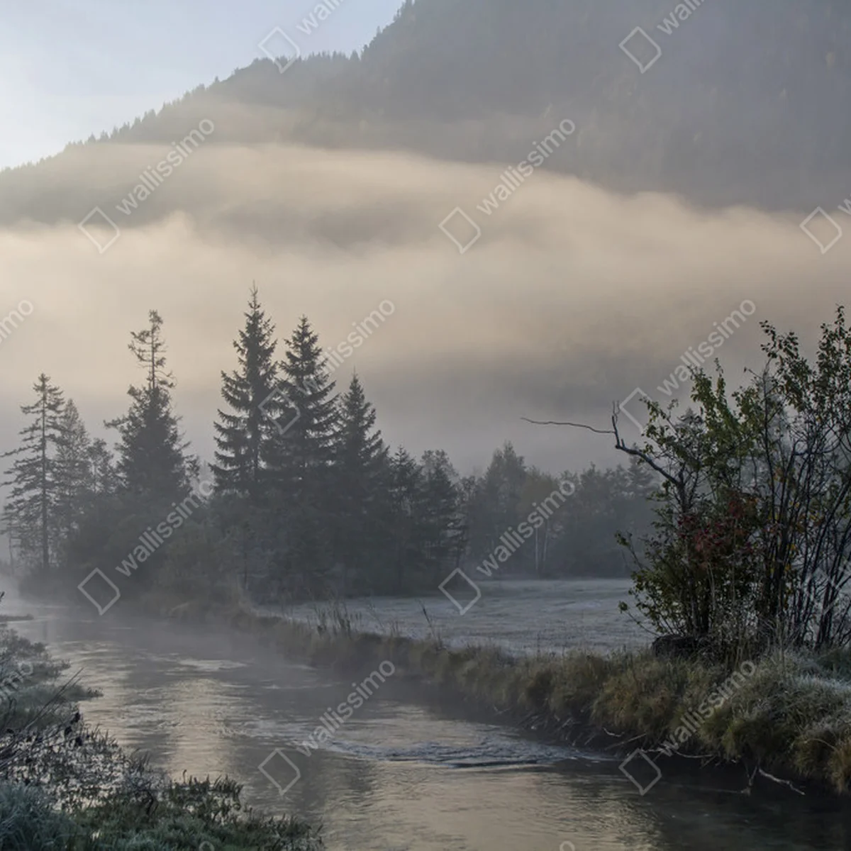 Poster Morgennebel • Poster bei Wallnifity® Poster Morgennebel • Poster bei Wallnifity®