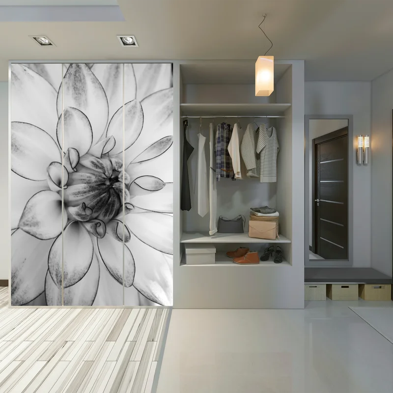 Schrankaufkleber monochrome nahaufnahme einer dahlie