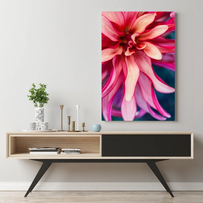 Leinwandbild vibrantes rosa blütenmakro Leinwandbild vibrantes rosa blütenmakro