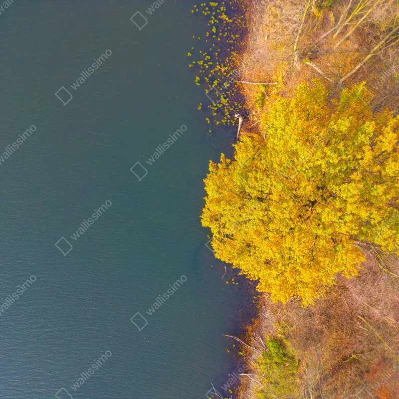 Poster Luftaufnahme von schönen glatten grünen Wasser eines Sees an einem sonnigen Herbsttag. Vogelperspektive auf den malerischen smaragdgrünen See, der von Wäldern umgeben ist. Wolken spiegeln sich im Wasser, goldenes Laub im Herbst. • Poster bei Wallnifity® Poster Luftaufnahme von schönen glatten grünen Wasser eines Sees an einem sonnigen Herbsttag. Vogelperspektive auf den malerischen smaragdgrünen See, der von Wäldern umgeben ist. Wolken spiegeln sich im Wasser, goldenes Laub im Herbst. • Poster bei Wallnifity®