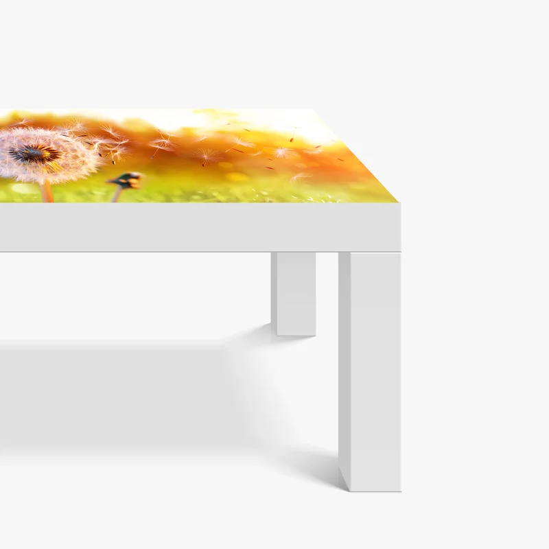 Tischaufkleber und Schreibtischaufkleber goldener löwenzahn im sonnenuntergang