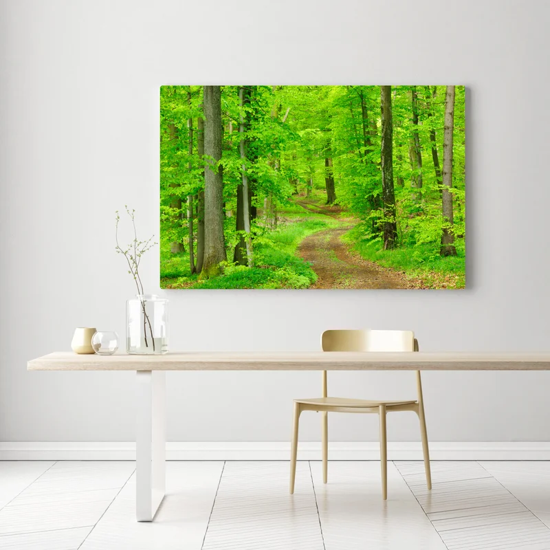 Leinwandbild ruhiger waldweg im frühling Leinwandbild ruhiger waldweg im frühling
