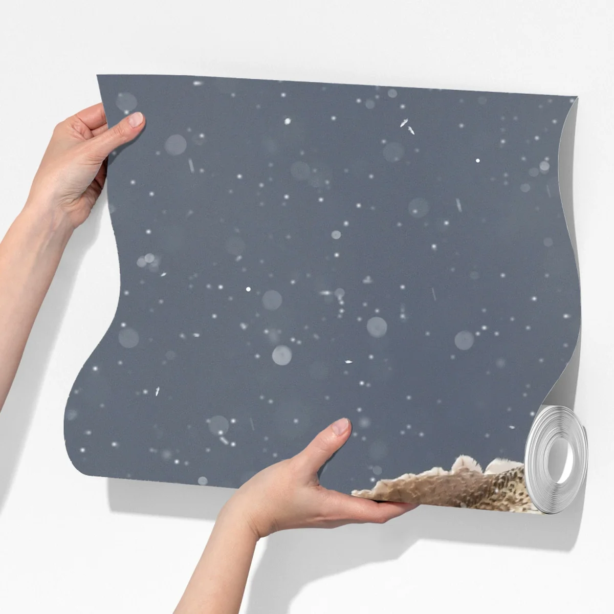 Fototapete mäusebussard landet im schnee Fototapete mäusebussard landet im schnee