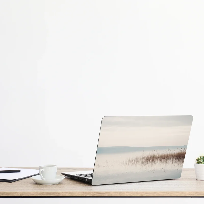 Naklejka na laptopa spokojne trzcinowisko nad jeziorem