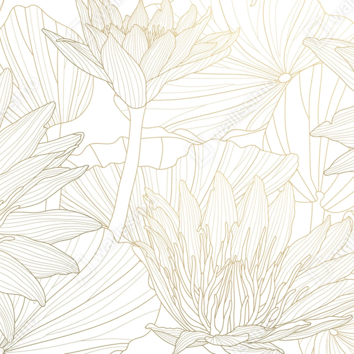 Fototapete zarte goldene blütenlinien Fototapete zarte goldene blütenlinien