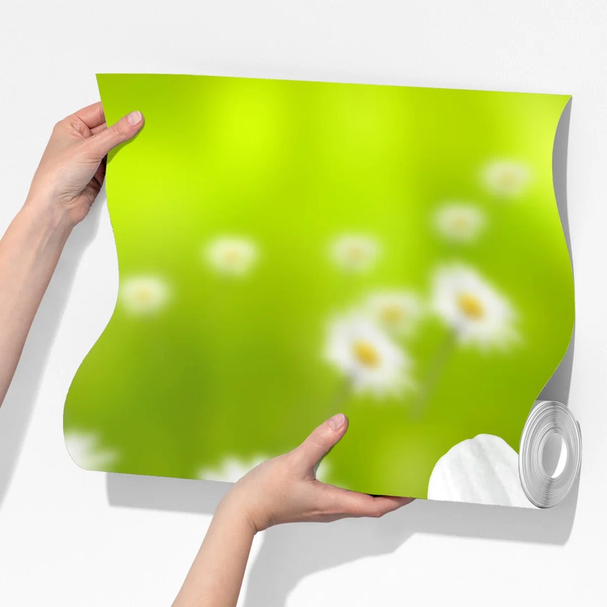 Fototapeta białe stokrotki na łące Fototapeta białe stokrotki na łące