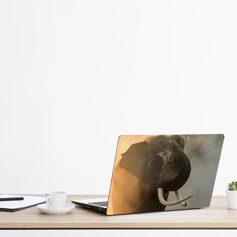 Laptop-Aufkleber majestätischer Thai-elefant mit stoßzähnen Laptop-Aufkleber majestätischer Thai-elefant mit stoßzähnen