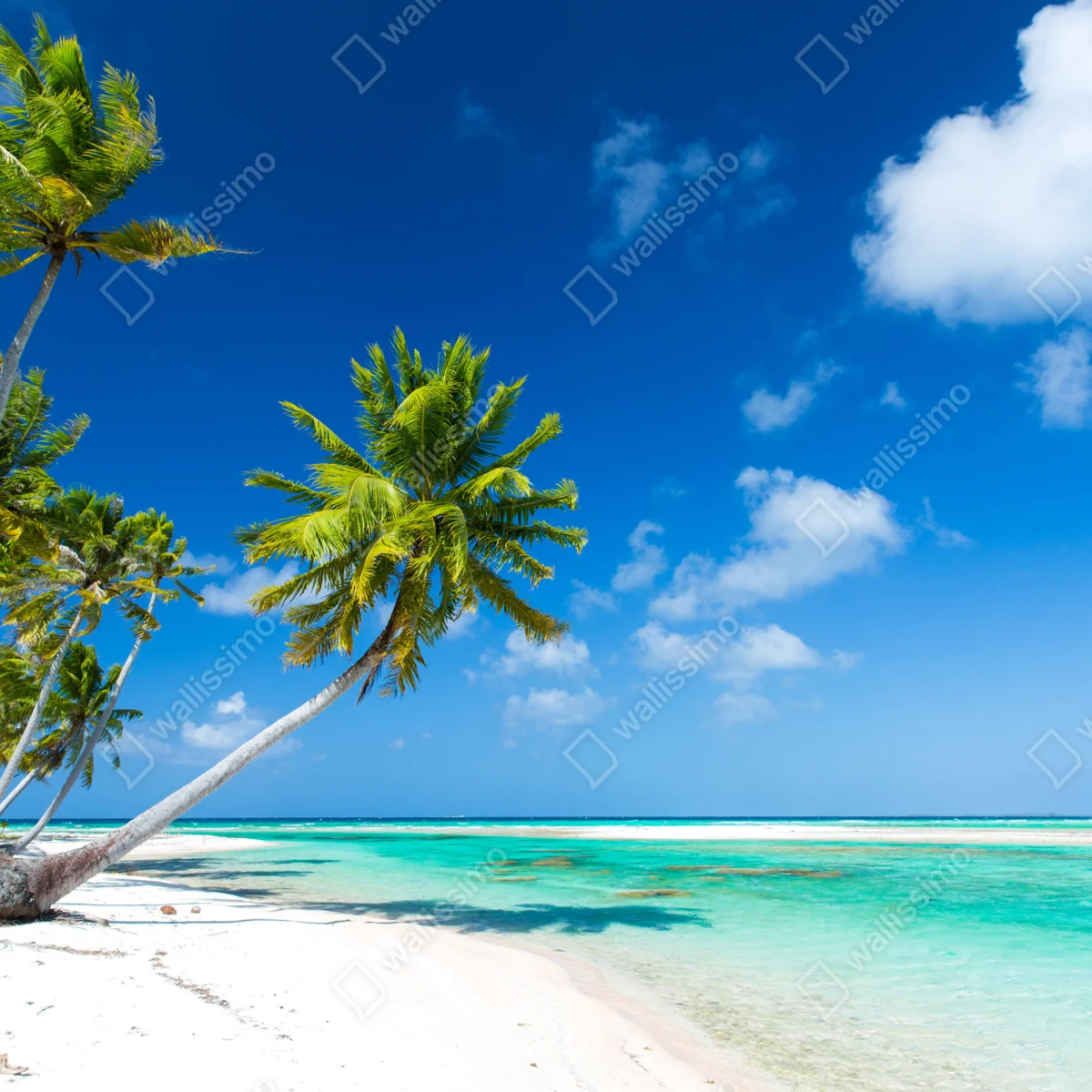 Repositionierbarer Aufkleber tropischer strand mit palmen und türkisfarbenem wasser Repositionierbarer Aufkleber tropischer strand mit palmen und türkisfarbenem wasser