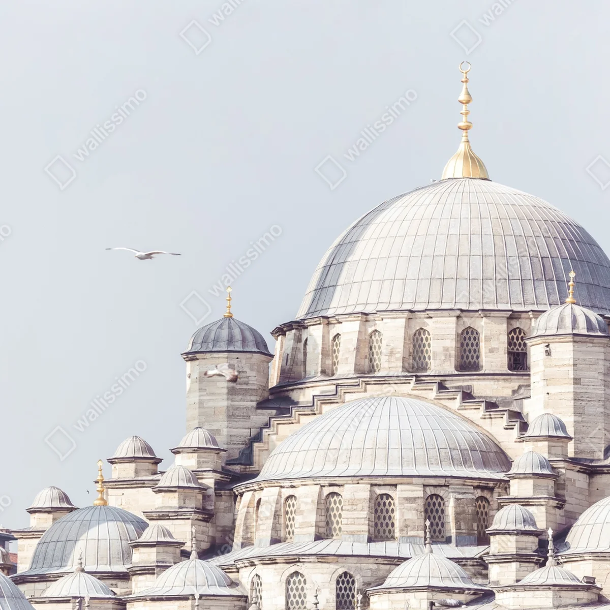 Fototapete Istanbul moschee kupeln im sanften licht Fototapete Istanbul moschee kupeln im sanften licht