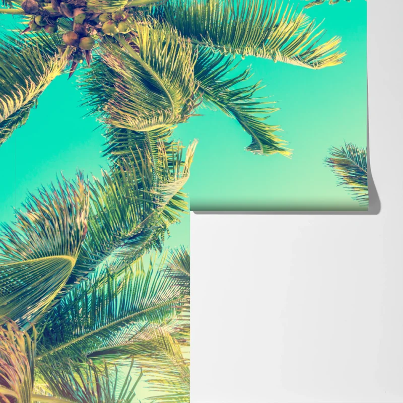 Fototapeta vintage turkusowy baldachim palm Fototapeta vintage turkusowy baldachim palm