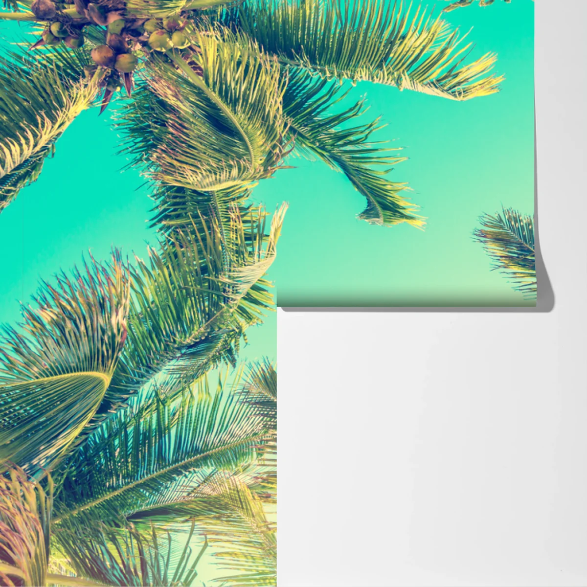 Fototapeta vintage turkusowy baldachim palm Fototapeta vintage turkusowy baldachim palm