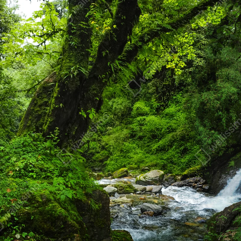 Schrankaufkleber üppiger grüner wasserfall im wald Schrankaufkleber üppiger grüner wasserfall im wald