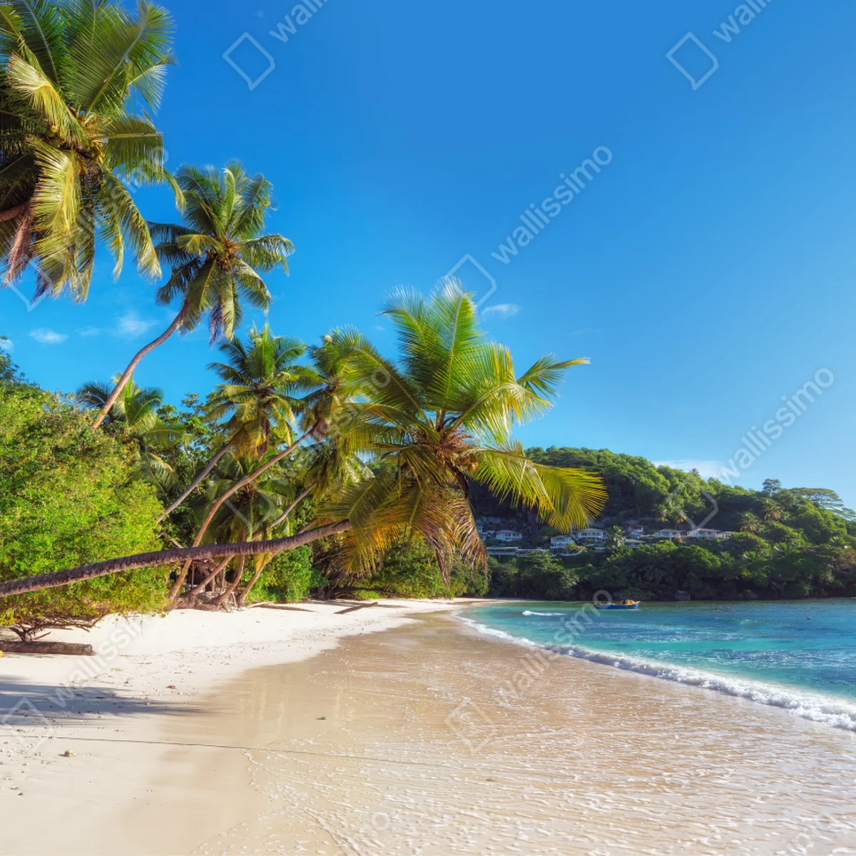 Leinwandbild tropischer palmstrand Leinwandbild tropischer palmstrand