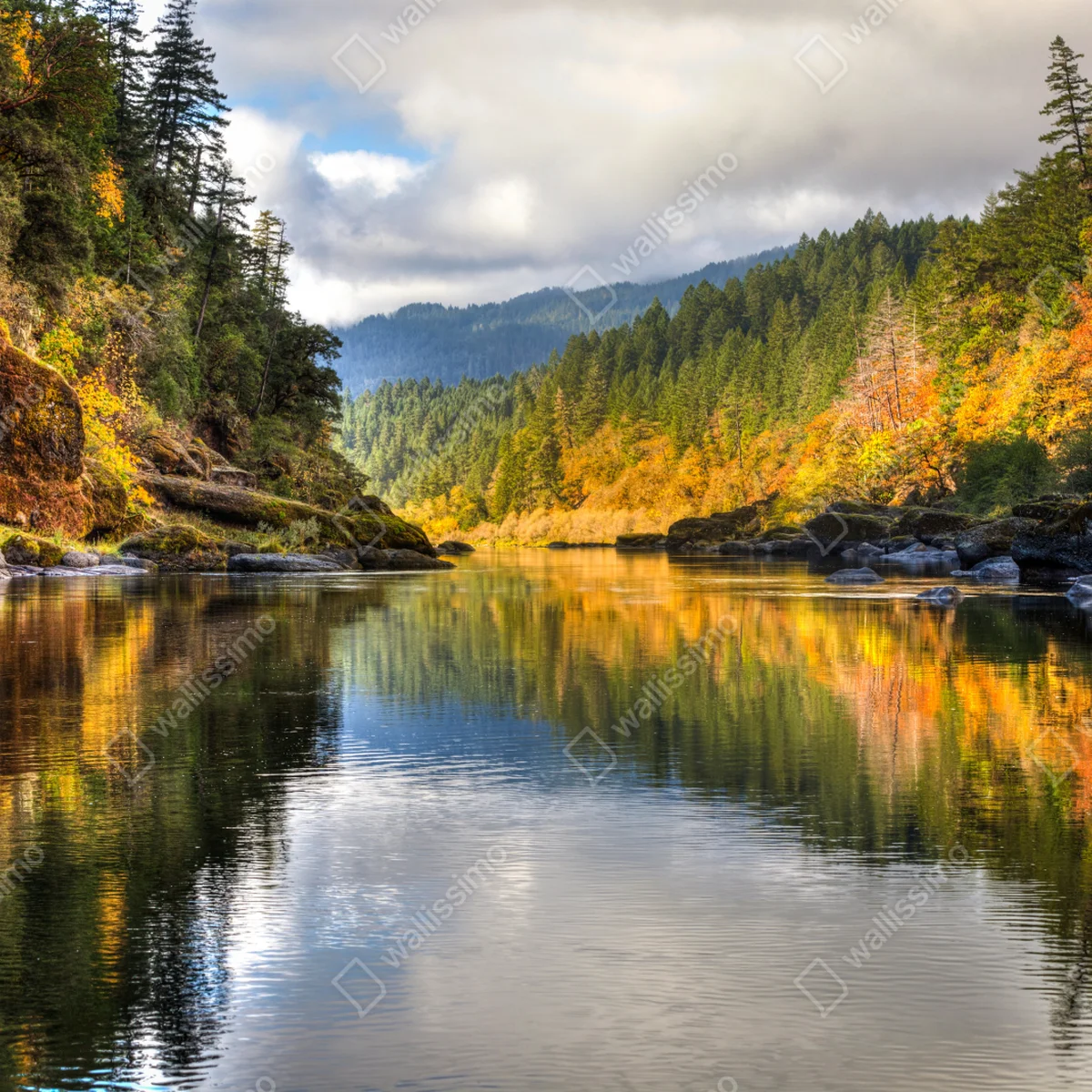 Fensteraufkleber Rogue River herbstliche spiegelungen Fensteraufkleber Rogue River herbstliche spiegelungen