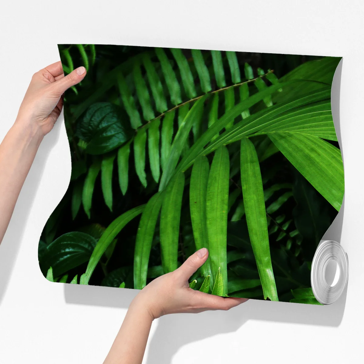 Fototapete üppige tropische farnblätter Fototapete üppige tropische farnblätter