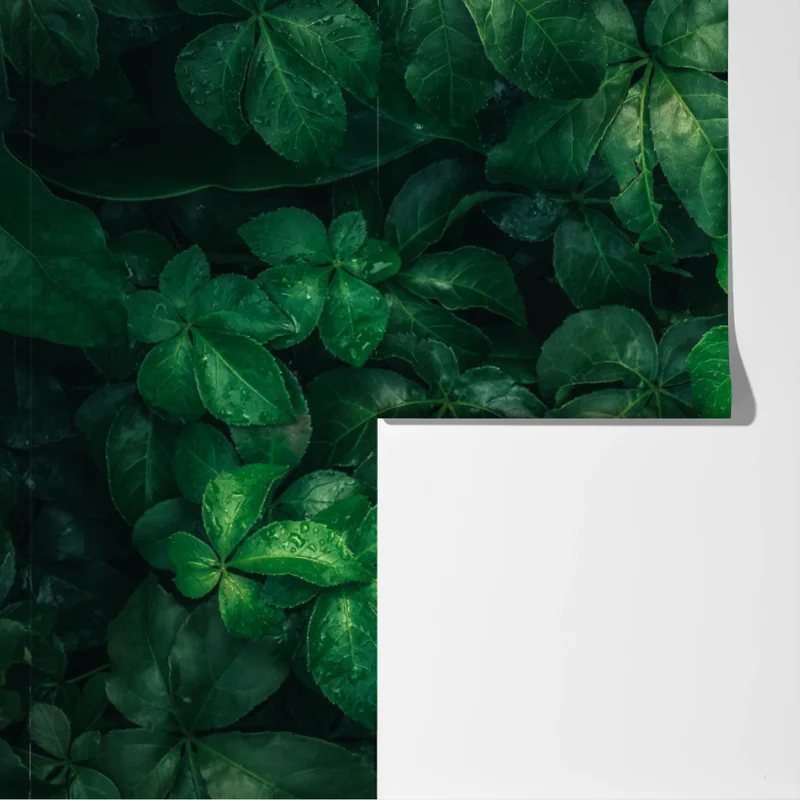 Fototapeta bujne tropikalne zielone liście Fototapeta bujne tropikalne zielone liście