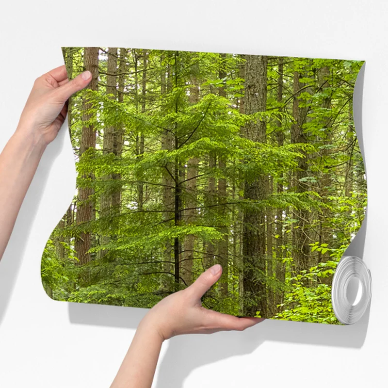 Fototapete friedlicher waldpfad Fototapete friedlicher waldpfad