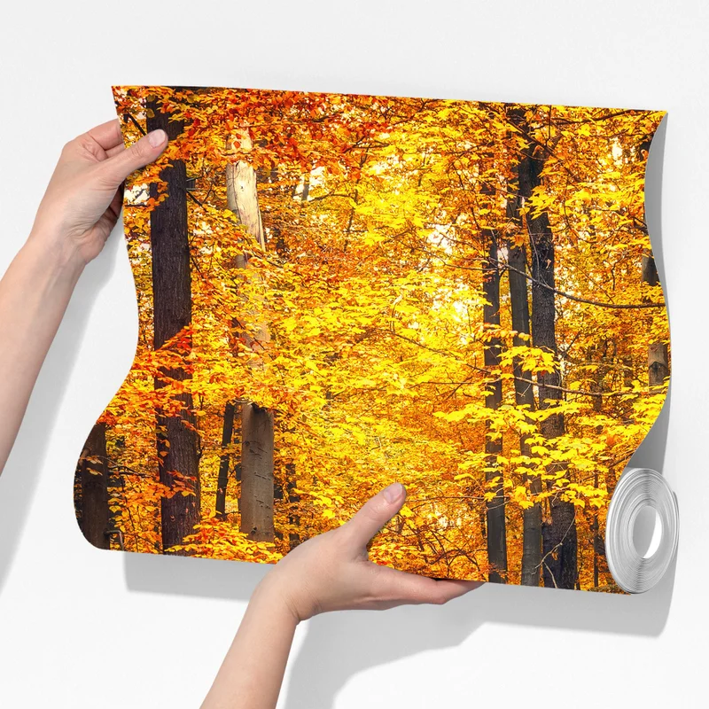 Fototapete herbstlicher waldpfad mit goldenen blättern Fototapete herbstlicher waldpfad mit goldenen blättern