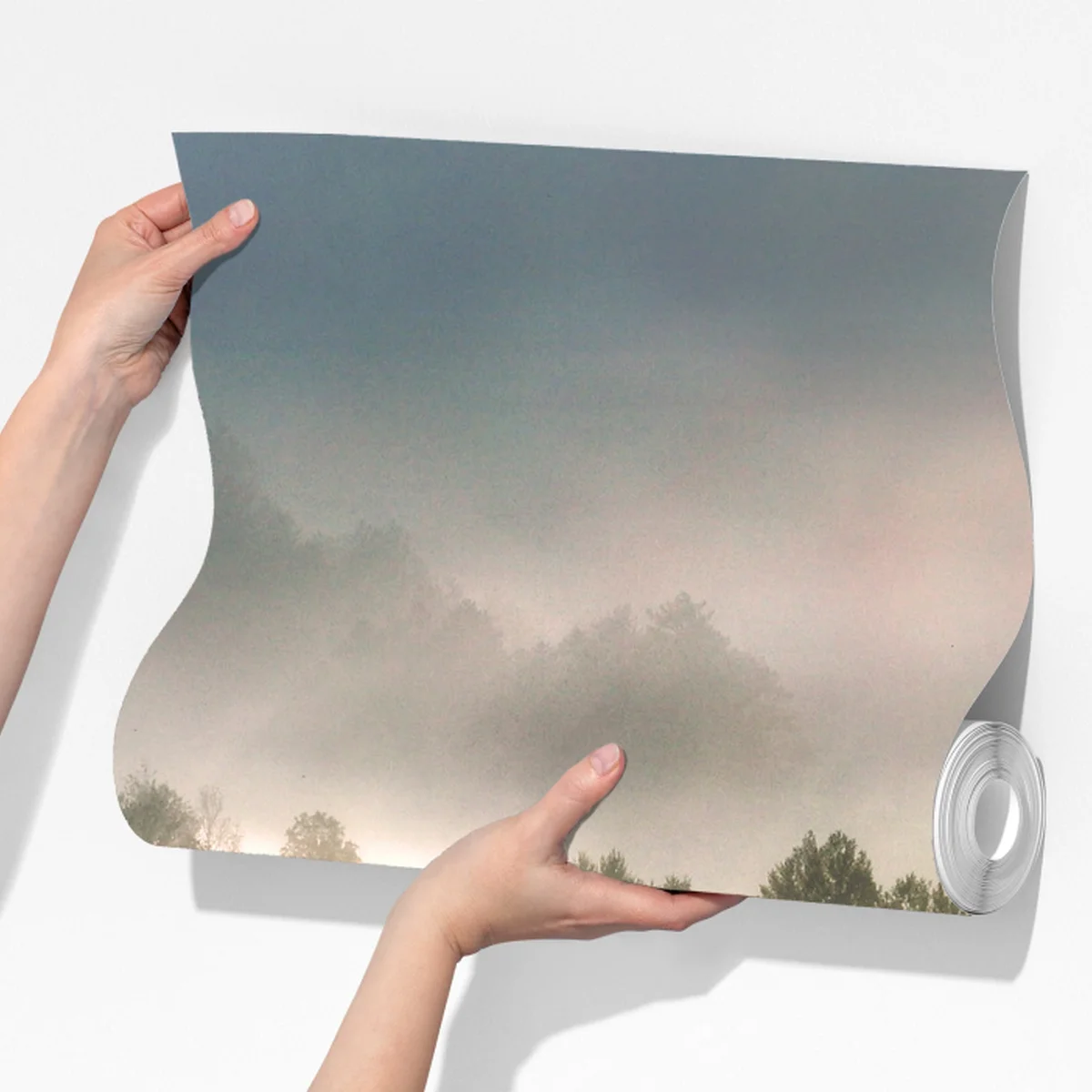 Fototapete nebliger wald im morgengrauen Fototapete nebliger wald im morgengrauen