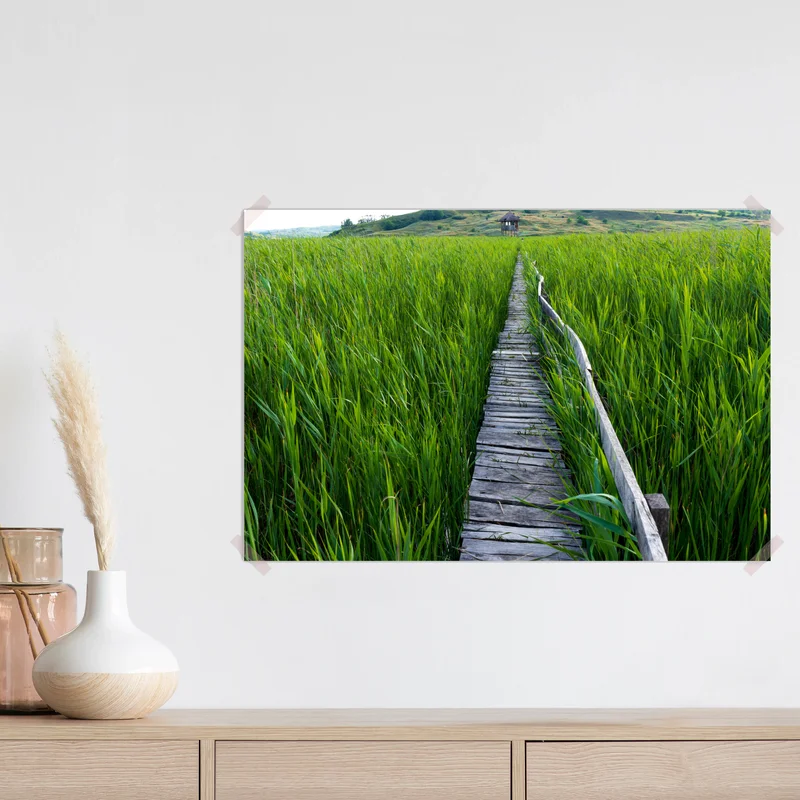 Poster ruhiger grüner steg durch schilfland zur rustikalen hütte Poster ruhiger grüner steg durch schilfland zur rustikalen hütte