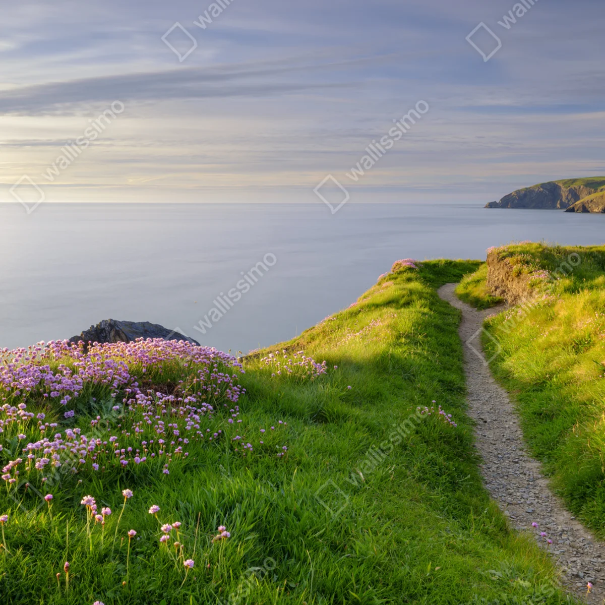 Leinwandbild Ceibwr Bay küstenpfad bei dämmerung • Leinwandbilder bei Wallnifity® Leinwandbild Ceibwr Bay küstenpfad bei dämmerung • Leinwandbilder bei Wallnifity®