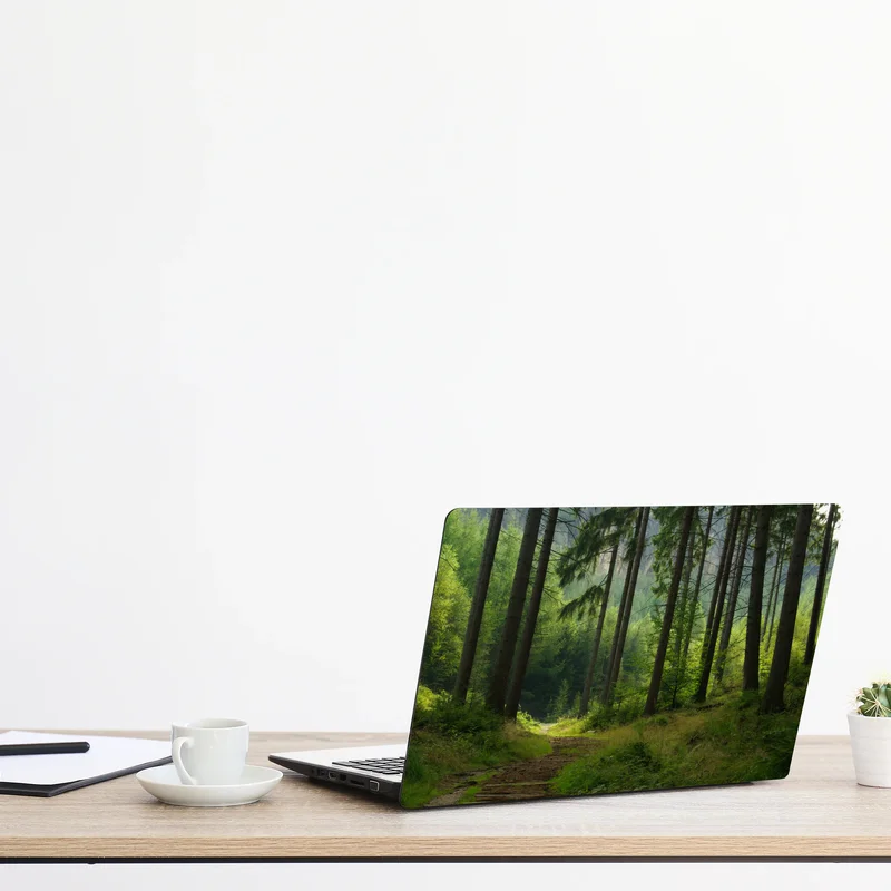 Naklejka na laptopa spokojna leśna ścieżka