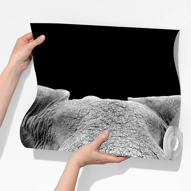 Fototapete majestätisches elefantenporträt in monochrom Fototapete majestätisches elefantenporträt in monochrom