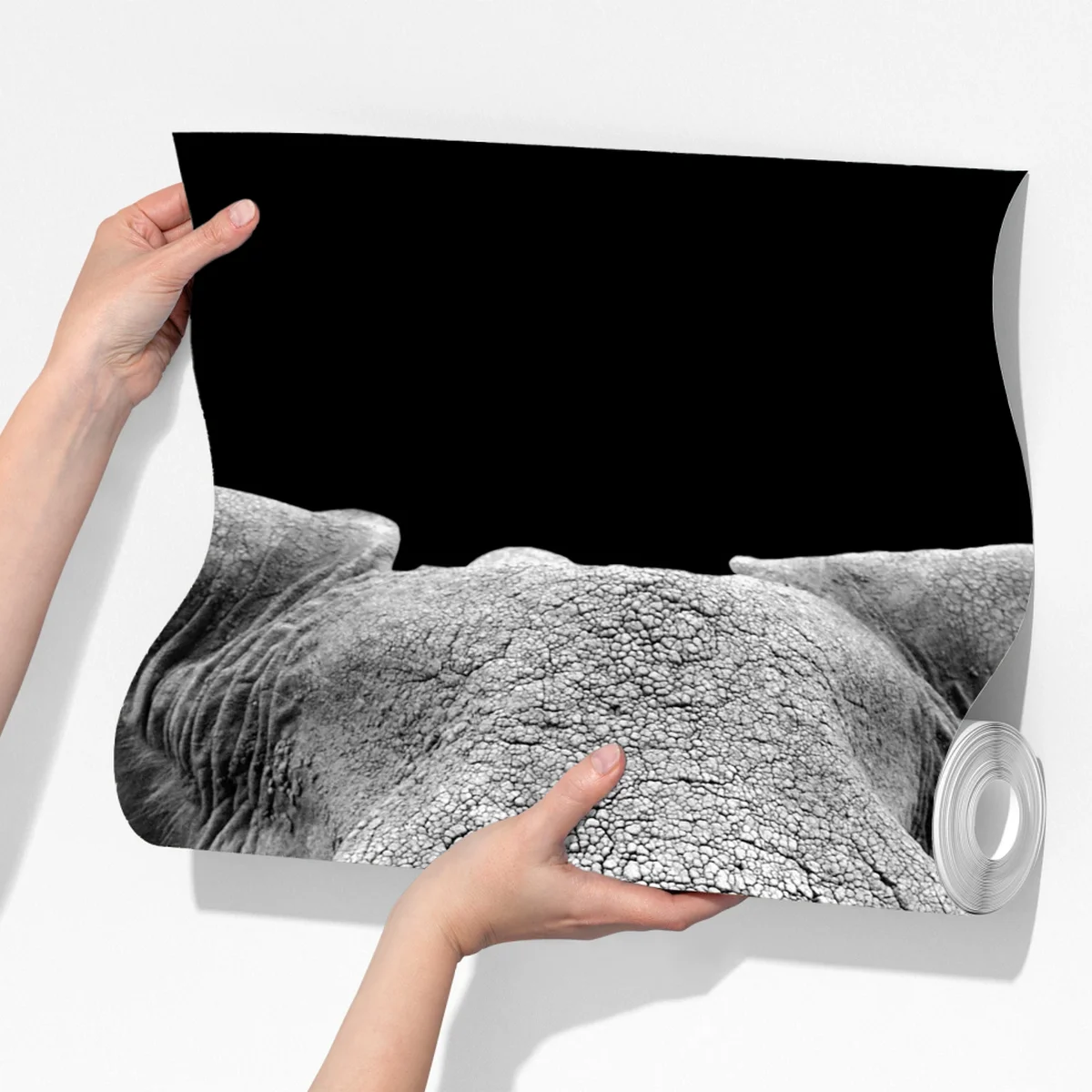 Fototapete majestätisches elefantenporträt in monochrom Fototapete majestätisches elefantenporträt in monochrom