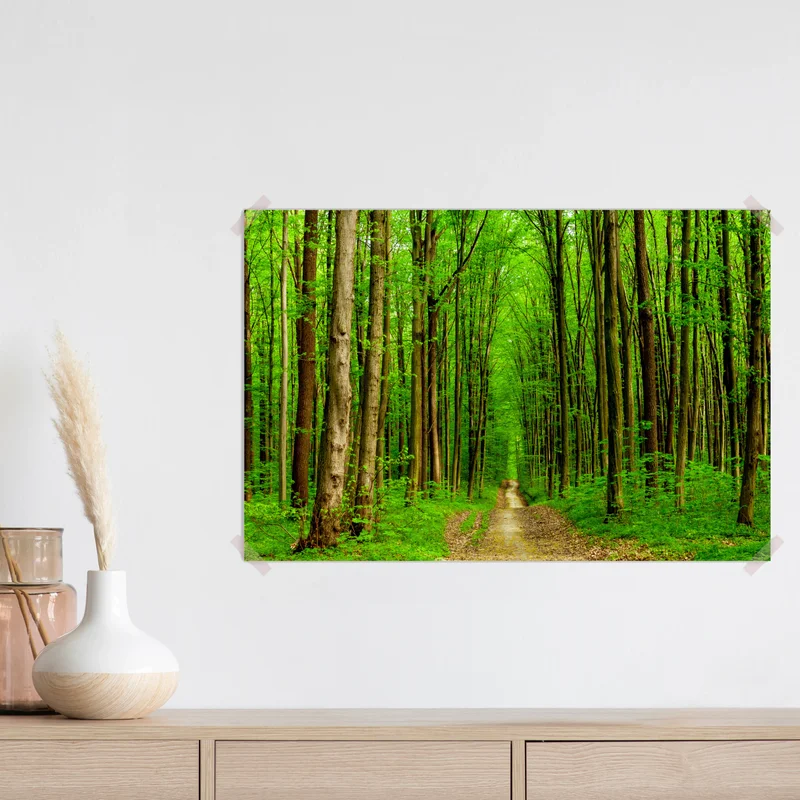 Poster grüner waldweg im frühling Poster grüner waldweg im frühling