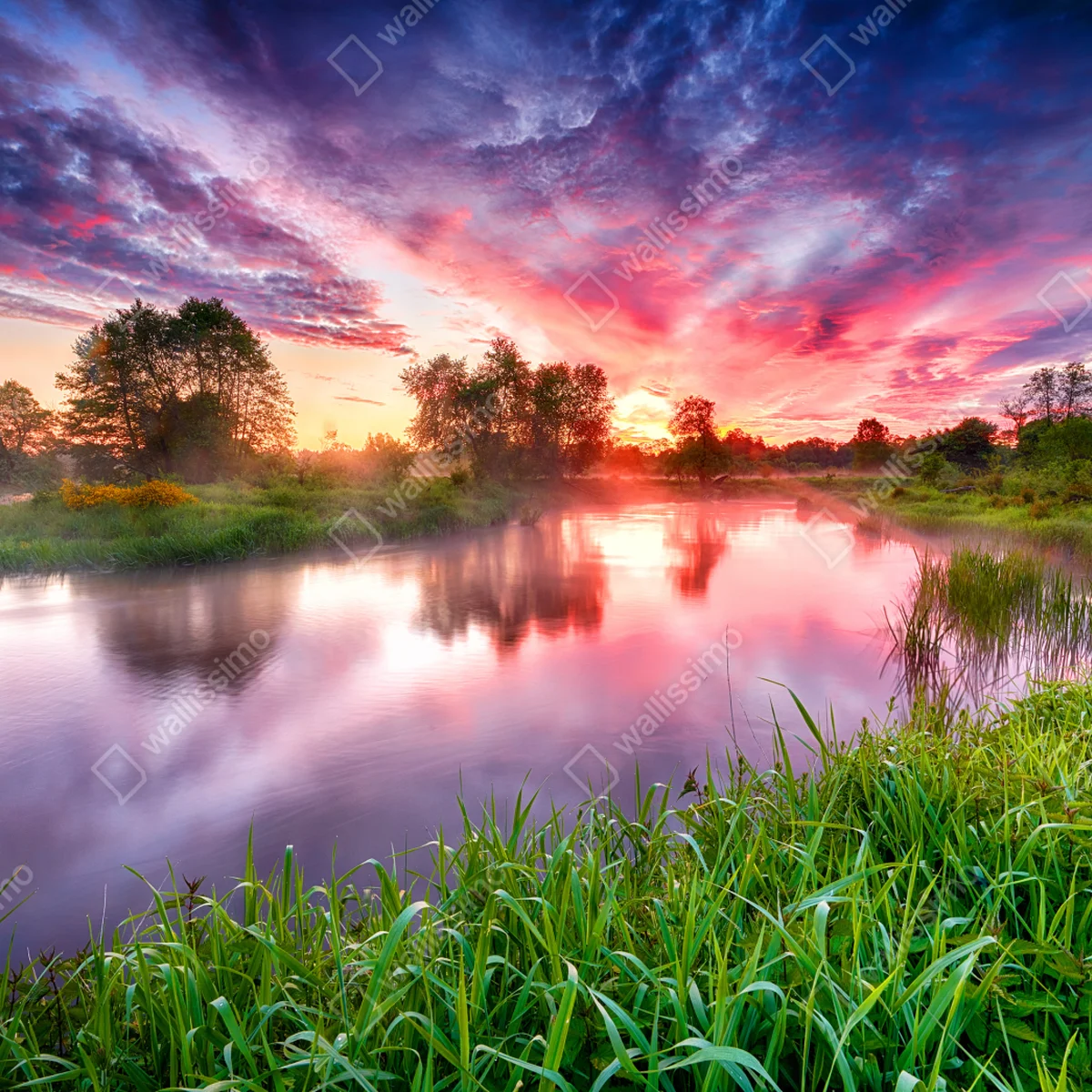 Kühlschrankaufkleber ruhiger sommer sonnenaufgang am flussufer Kühlschrankaufkleber ruhiger sommer sonnenaufgang am flussufer