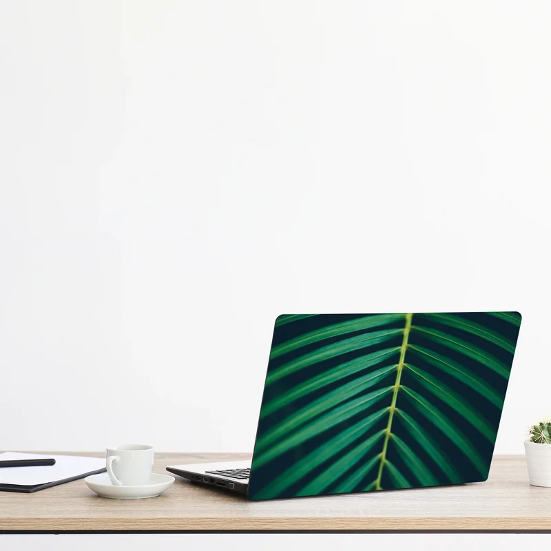 Laptop-Aufkleber vertikales palmenblatt nahaufnahme