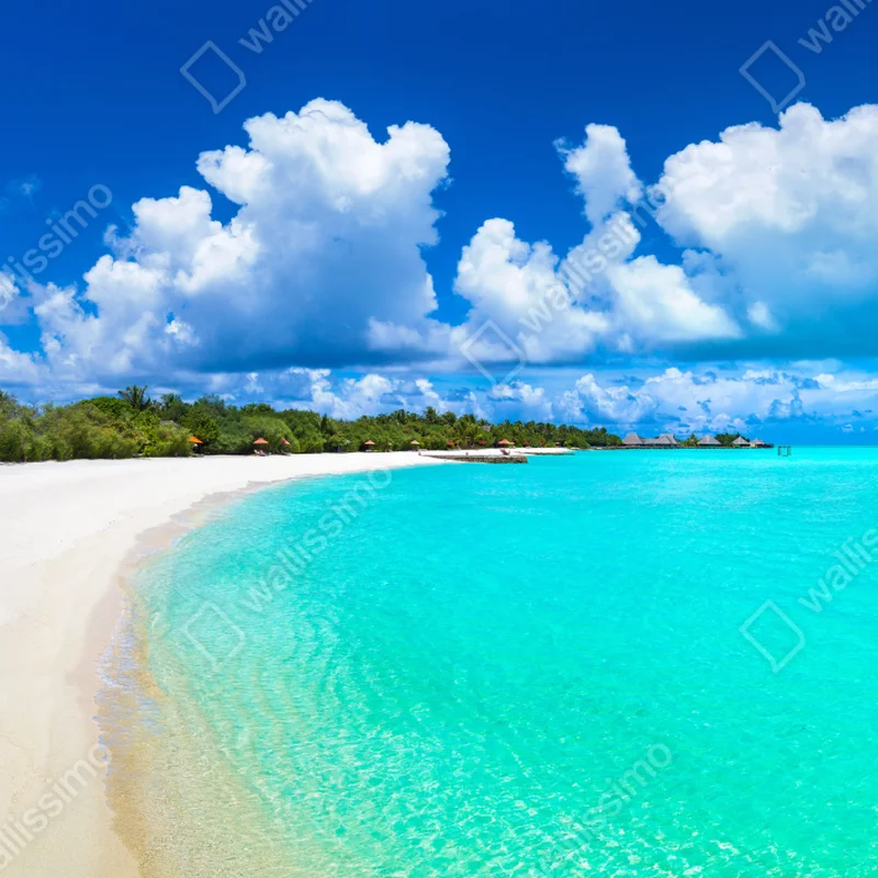 Naklejka na okno Malediwy turkusowa plaża panorama Naklejka na okno Malediwy turkusowa plaża panorama